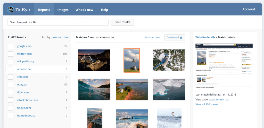 Reverse Image Search